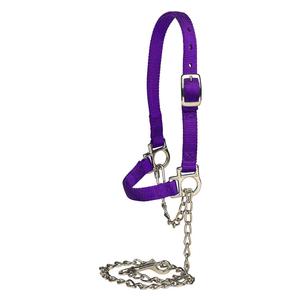 Nylon Sheep Halter & Lead  Weaver Livestock